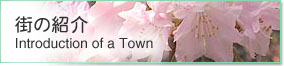 街の紹介